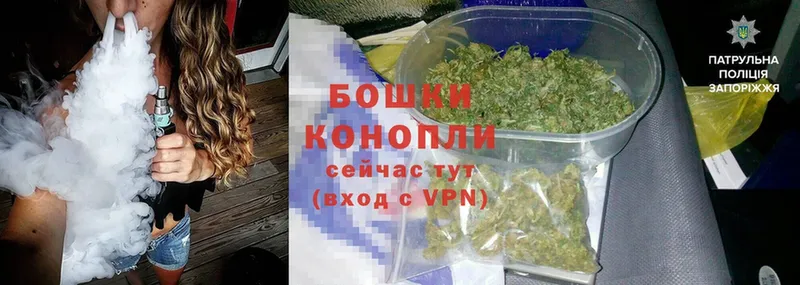 Конопля гибрид  Камызяк 